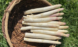 Des Poules et des Vignes à Bourgueil - Asperges Argenteuil