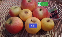 LES JARDINS DE KARINE - Pommes rouges et jaunes à croquer - 3kg