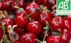Mon Petit Producteur - Cerise Bio (500g)