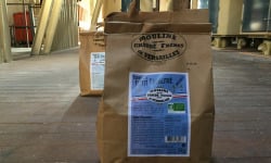 Moulins de Versailles - Farine De Petit Epeautre Intégrale Bio - 5kg