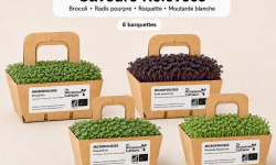 Ma Micropousse culinaire - Micro-pousses bio – Pack Saveurs Relevées – Brocoli, radis, roquette & moutarde – 8 barquettes