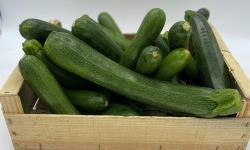 Le Panier du Producteur - Courgette Verte - 1 Kg