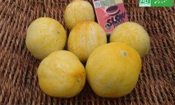 Les Jardins de Karine - Concombres Lemon - 1kg
