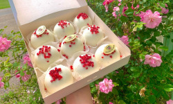 Glaces de Meuse - Dômes glacés - Noix de Coco x 9
