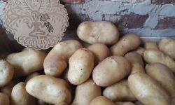 Ferme de Cernunnos - Pommes de terre Charlotte bio - 3 kg