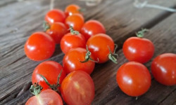 Les Jardins de Gérard - Tomate cerise Bio - 250 g