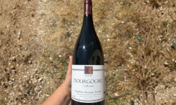 Domaine Céline Coté - Bourgogne Les Boutots 2018 Magnum
