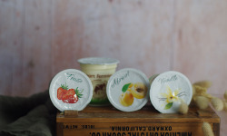 Ferme Chambon - Yaourts au Lait Cru de Vache parfums panachés : Nature, Vanille, Abricot, Fraise