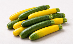 Nature et Saveurs - Ferme Aquaponique et Permacole Astérienne - Petites courgettes calibre 12 cm – prêtes à cuisiner
