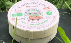 Ferme de la Paumerais - CAMEMBERT FERMIER BIO (x1) - 240 Gr