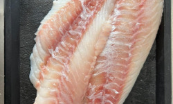 L'atelier des poissonniers - Filets de Sebaste