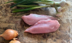 La Maison Pourthié - Filet de poulet 1kg