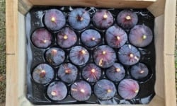 Figaro - Figues bio congelées 2kg