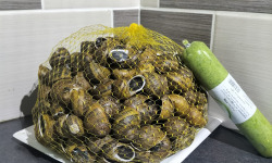 Le Paradis d'Escargot - 5 kg escargots gros gris vif