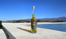 Domaine Reverchon - Huile d'olive 50cl