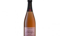 Champagne J. Martin et Fille - Brut Rosé