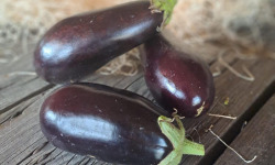 Les Jardins de Gérard - Aubergine violette Bio - 1  kg