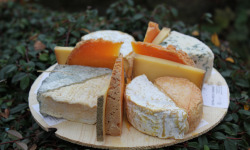 La Finarde - Plateau grande tablée - 10 fromages incontournables et originaux