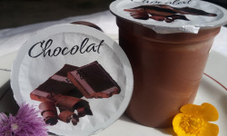 Ferme Joos - crème dessert au chocolat (lot de 6)