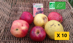 LES JARDINS DE KARINE - POMMES à transformer en mélange-10kg