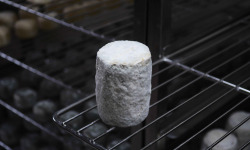 Alléosse Maitre Artisan Affineur Fromager - Clacbitou au lait cru