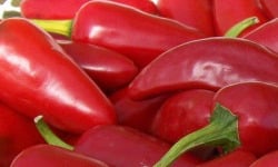 HERBA HUMANA - Piment De La Bresse - 172g