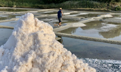 Artisans du Sel - Fleur de Sel de Guérande IGP 100% naturelle - 25kg | Artisans du Sel