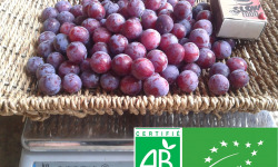 LES JARDINS DE KARINE - Prune Damas - 1kg