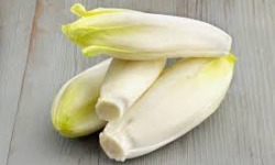 La Coussoyote - Endives 1kg