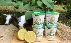 Lait Prairies du Boulonnais - Yaourt brassé au citron x10