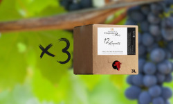 Domaine de la Chopinière du Roy - Lot 3 BIB de Vin Rouge Saint Nicolas de Bourgueil 2024 - 3 Litres