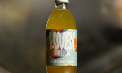 LOVEN Crew - Brasserie L'Indispensable - Kombucha Clémentina (Clémentine de Corse et Tonka) - 12x33cl