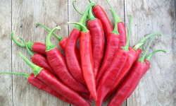 HERBA HUMANA - Piment frais Sucette De Provence 300g