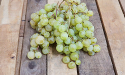 La Boite à Herbes - Raisin Blanc - 500g