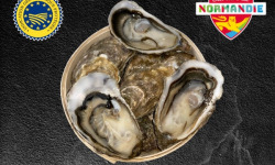 Le Termer - Huîtres de Normandie IGP N°2-70 Pièces "Saveurs de Normandie"