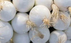 ChâteauFer - Oignon blanc 1kg