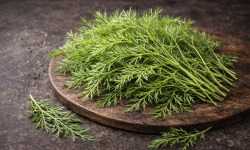 Nature et Saveurs - Ferme Aquaponique et Permacole Astérienne - Jeunes feuilles de Cosmos — Fraîcheur sucrée