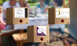 Domaine de la Chopinière du Roy - BIB les essentiels 3L – Lot de 3 bag in box différents (Vin Rouge, Rosé, Blanc) – 3 x 3 Litres