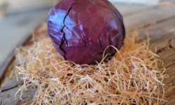Les Jardins de Gérard - Chou rouge lisse - Poids moyen 800g