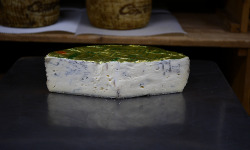 Alléosse Maitre Artisan Affineur Fromager - Gorgonzola Dolce DOP