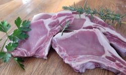 Le Pré de la Rivière - [Précommande] Côtes de Porc Blanc de l'ouest Bio X 6- 1 Kg