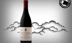 Boucherie Moderne - Vin rouge - Hautes-Côtes de Nuits