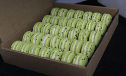 Les Macarondises - 35 Macarons Kiwi zestes de citron vert