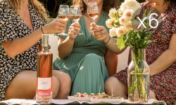 Domaine de la Perrée - Saint Nicolas de Bourgueil Rosé - Demoiselles 2024 - 6x75cl