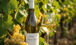 Domaine ROUX-GROS - Mâcon Villages "Terroir de Farges"- Sélection Vieilles Vignes 2023 6x75cl