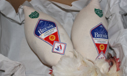 La Guyotte Ferme Bressane - [Précommande] Poularde de Bresse AOP de la Guyotte effilée roulée 2.2 kg