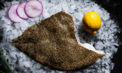 Luximer - Filets de Turbot sauvage - lot de 400g