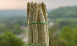 Les Asperges et Framboises du Soissonnais - Asperges Blanches calibre 22+ - 5kg