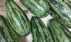 Le Rucher de Cantiers - Courgettes marbrées du jardin