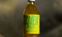 LOVEN Crew - Brasserie L'Indispensable - Kombucha Citron Menthe & Fire - 12x33cl